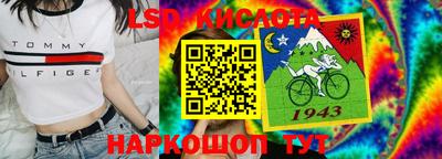 стаф Будённовск