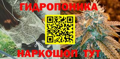 стаф Будённовск