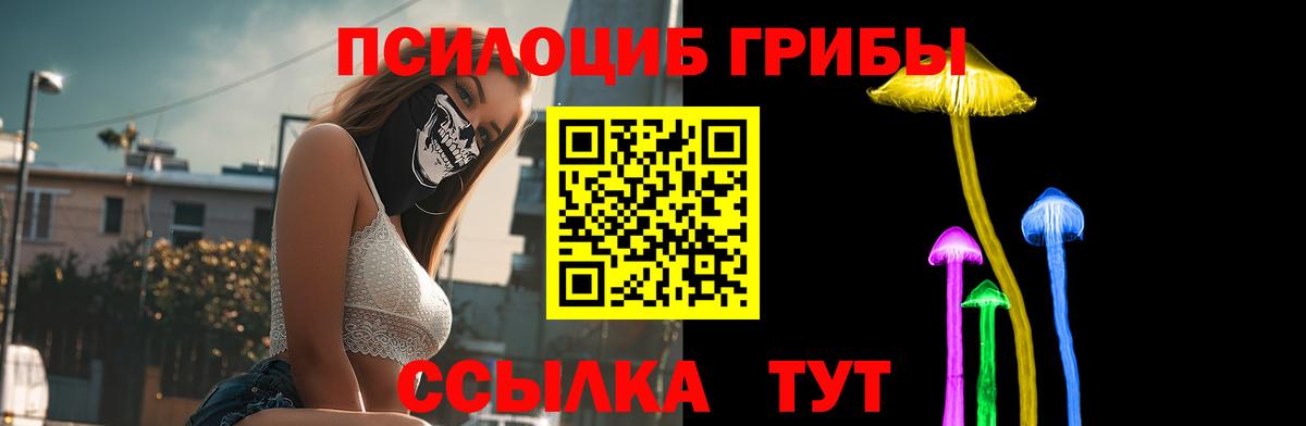 Нефтекамск  Галлюциногенные грибы Cubensis  Вход с VPN  Псилоцибиновые грибы GOLDEN TEACHER 